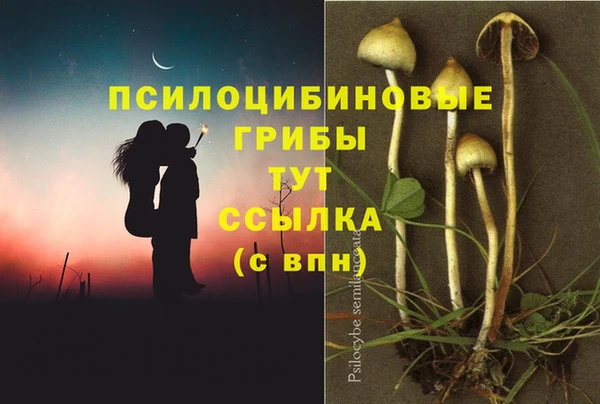 твердый Арсеньев