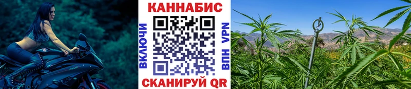 МАРИХУАНА MAZAR  где купить наркоту  Новоульяновск 